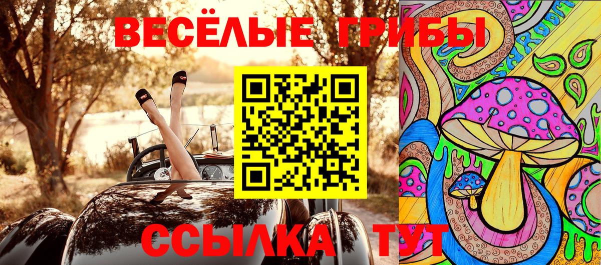 Псилоцибиновые грибы Psilocybine cubensis  Вход с VPN  Электрогорск 